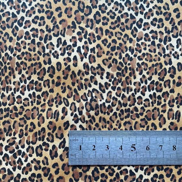 Wild Leopard