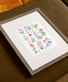 DMC – Botanical Sampler