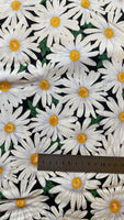 Daisy
